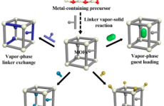 暨南大学李万斌Acc. Chem. Res.：金属-有机骨架的气相处理