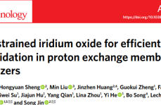 浙大张兴旺团队酸性OER最新Nature nanotechnology：小应变，大作用！