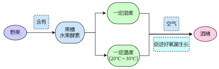 迷醉人类千年的酒,图片,乙醛中毒,酒精代谢,食品,水,糖尿病,酶,碳,安全,第2张