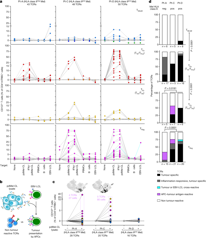 NATURE！斯坦福大学医学院Catherine J. Wu：黑色素瘤中辅助性和调节性抗肿瘤 CD4+ T 细胞的前景,图片,癌症,黑色素瘤,抗肿瘤,克隆,抗原,nature,第2张