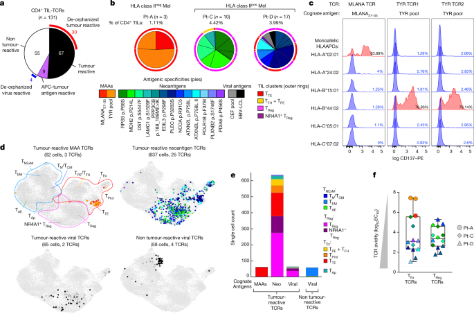 NATURE！斯坦福大学医学院Catherine J. Wu：黑色素瘤中辅助性和调节性抗肿瘤 CD4+ T 细胞的前景,图片,癌症,黑色素瘤,抗肿瘤,克隆,抗原,nature,第3张