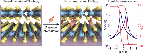 最新JACS：Fe插层TaS2，实现最薄极限的硬铁磁性！,图片,材料,晶体,环境,金属,元素,化学,原子,第1张