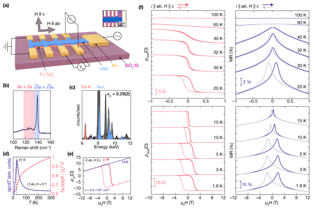 最新JACS：Fe插层TaS2，实现最薄极限的硬铁磁性！,图片,材料,晶体,环境,金属,元素,化学,原子,第3张