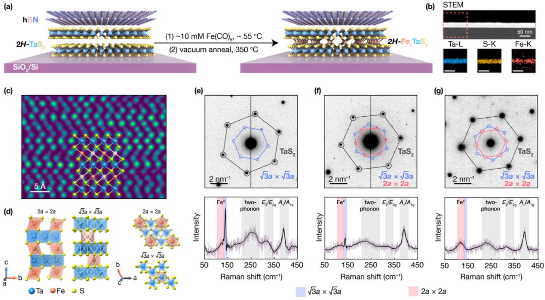 最新JACS：Fe插层TaS2，实现最薄极限的硬铁磁性！,图片,材料,晶体,环境,金属,元素,化学,原子,第2张