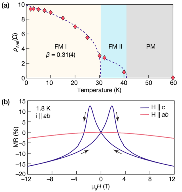 最新JACS：Fe插层TaS2，实现最薄极限的硬铁磁性！,图片,材料,晶体,环境,金属,元素,化学,原子,第4张