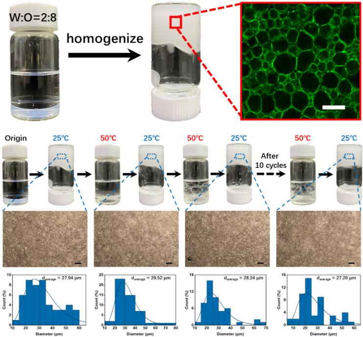 响应性Pickering高内相乳液用于高效界面酶催化,图片,催化剂,材料,酶,淀粉,Chemical Science,高内相乳液,第2张