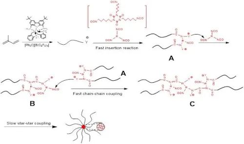 长春应化所刘波/崔冬梅Angew:配位聚合制备星型聚合物的普适策略,图片,材料,星型聚合物,长春应化所,催化剂,金属,碳,科研,蛋白质,第2张