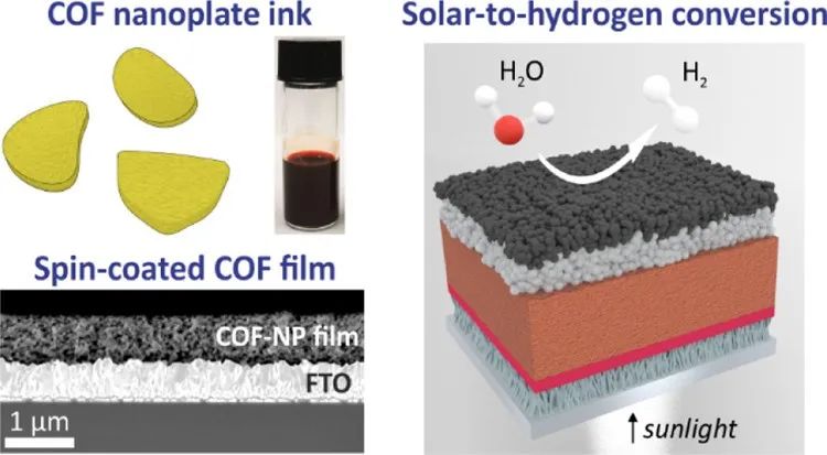 最新JACS：COF使溶液处理的纳米晶薄膜用于光电化学析氢,图片,材料,纳米,半导体,析氢,第1张