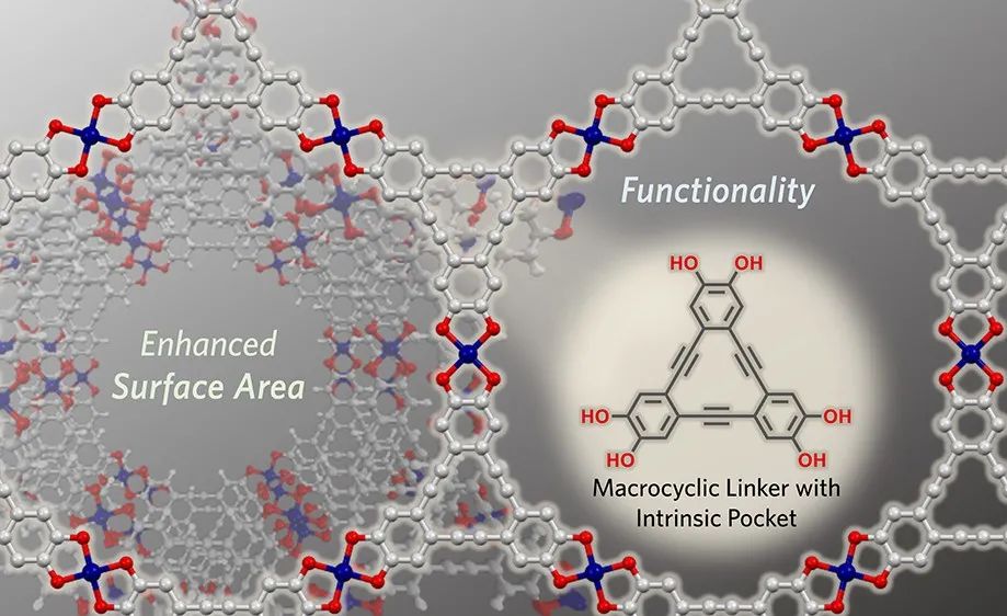 二维导电MOF最新JACS！ 通过大环连接体将功能性和增强的表面积赋予2D导电MOF,图片,材料,催化剂,多孔材料,金属,元素,化学,电化学,传感器,第1张