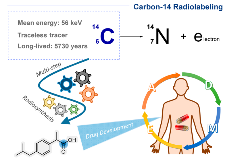 JACSAu：碳14标记和同位素交换——新兴机遇和未来挑战,图片,生命科学,催化剂,制药,环境,食品安全,第1张