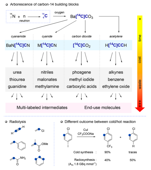 JACSAu：碳14标记和同位素交换——新兴机遇和未来挑战,图片,生命科学,催化剂,制药,环境,食品安全,第3张