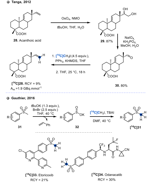 JACSAu：碳14标记和同位素交换——新兴机遇和未来挑战,图片,生命科学,催化剂,制药,环境,食品安全,第13张