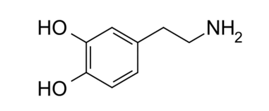 情绪调节剂-多巴胺,图片,多巴胺,神经递质,受体,人类情感之父,水,环境,化学,生物,氨基酸,第3张