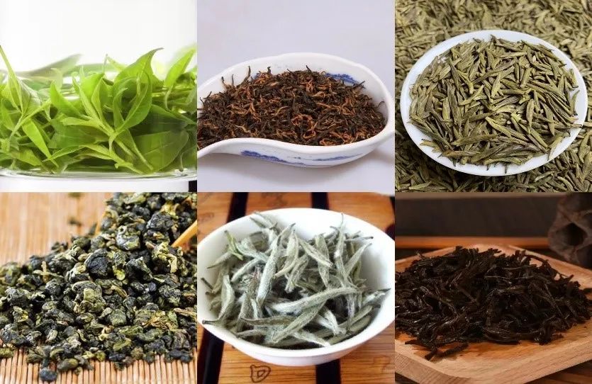 热播剧《梦华录》中，赵盼儿的茶为什么这么受欢迎？,图片,茶,茶多酚,发酵茶,降血脂,抗肿瘤,科普,第3张