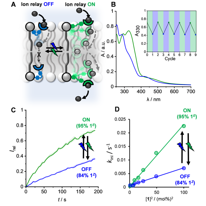 继电器最新JACS:一种光响应型跨膜阴离子转运体继电器,图片,材料,膜通道,纳米,环境,化学,生物,受体,第5张