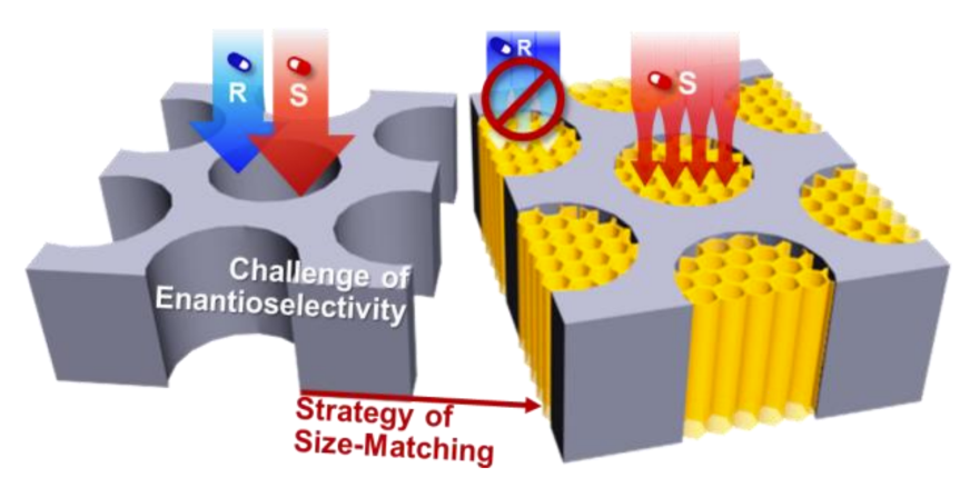 李海兵最新Angew：手性COF填充纳米通道膜分离对映异构体,图片,材料,纳米,氨基酸,手性药物,高通量,第1张
