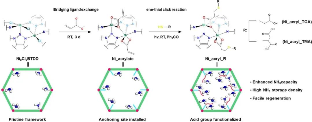 JACs储氨MOF新发！合成后改性的高效储氨金属有机框架材料,图片,材料,催化剂,多孔材料,环境,金属,能源,金属有机框架,化石燃料,第3张