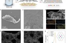 长春应化所董绍俊院士/汪劲最新Nature子刊：单原子铑纳米酶!