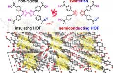 HOFs最新JACS！ 新型基于四硫富瓦烯衍生物的多孔氢键有机框架半导体材料