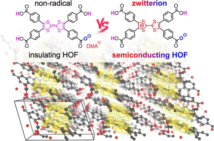 HOFs最新JACS！ 新型基于四硫富瓦烯衍生物的多孔氢键有机框架半导体材料,图片,材料,两性离子材料,HOF,第1张