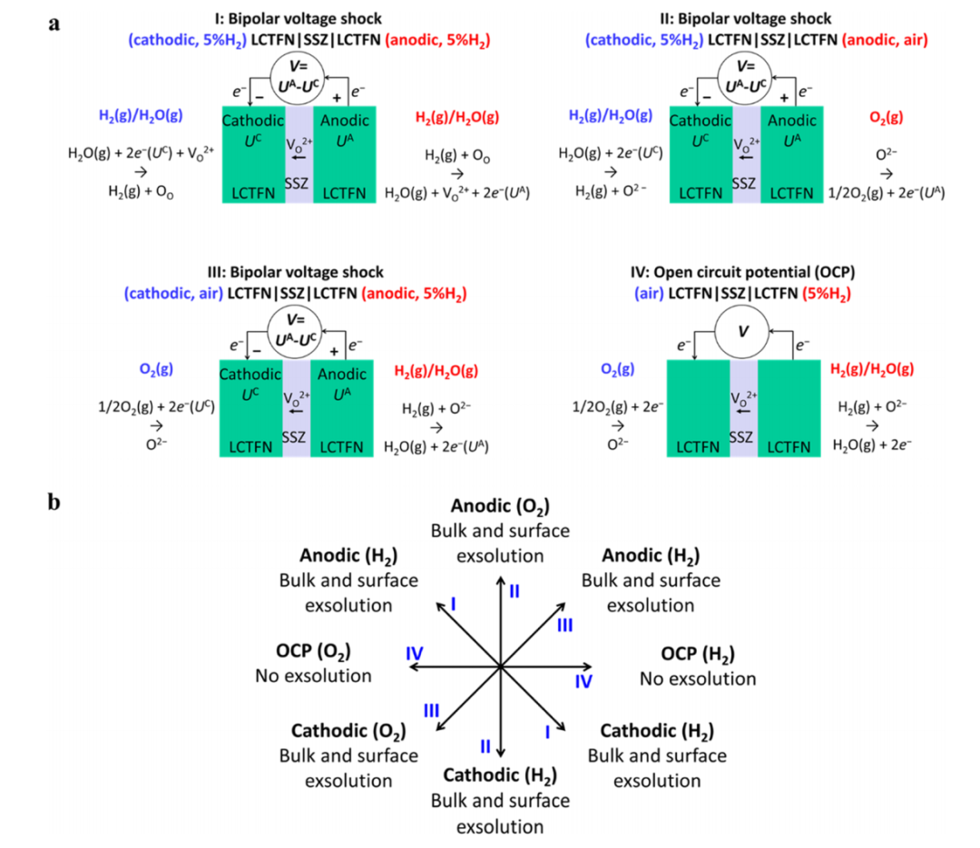 最新JACS:钙钛矿氧化物中金属纳米颗粒的阳极冲击触发外溶,图片,材料,纳米,催化剂,能源,第1张