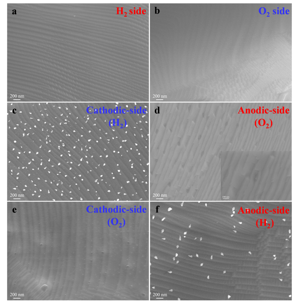 最新JACS:钙钛矿氧化物中金属纳米颗粒的阳极冲击触发外溶,图片,材料,纳米,催化剂,能源,第3张