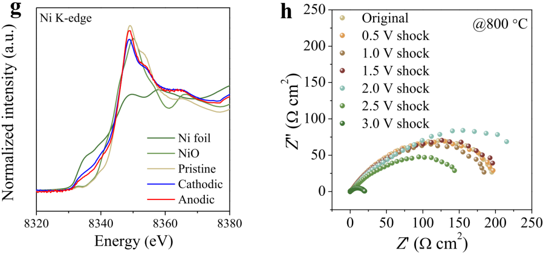 最新JACS:钙钛矿氧化物中金属纳米颗粒的阳极冲击触发外溶,图片,材料,纳米,催化剂,能源,第5张