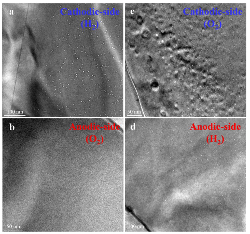 最新JACS:钙钛矿氧化物中金属纳米颗粒的阳极冲击触发外溶,图片,材料,纳米,催化剂,能源,第6张