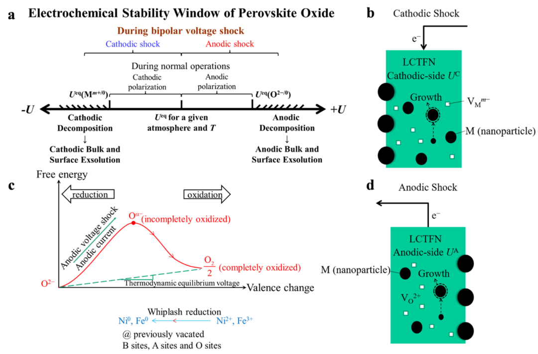 最新JACS:钙钛矿氧化物中金属纳米颗粒的阳极冲击触发外溶,图片,材料,纳米,催化剂,能源,第7张