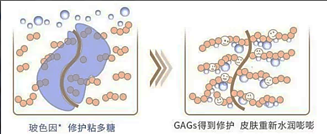 科学变美之“成分党” 的崛起,图片,化妆品,化妆品安全,A醇,玻色因,维生素原B5,泛酸,烟酰胺,水杨酸,科普,第5张