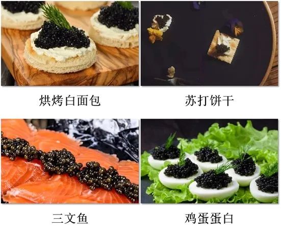 “吃货”的鱼子酱自由,图片,科普,鱼子酱,鲟鱼,过渡捕捞,濒危物种,第4张