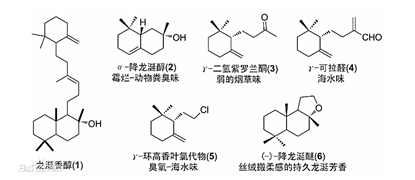 它的排泄物，竟然比黄金还贵？还是香水的重要原料！,图片,生物多样性公约,濒危物种,抹香鲸,龙涎香,水,环境,科普,化学,生物,第4张