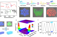 最新JACS: —具有可调结构颜色的仿生多肽光子薄膜