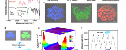 最新JACS: —具有可调结构颜色的仿生多肽光子薄膜