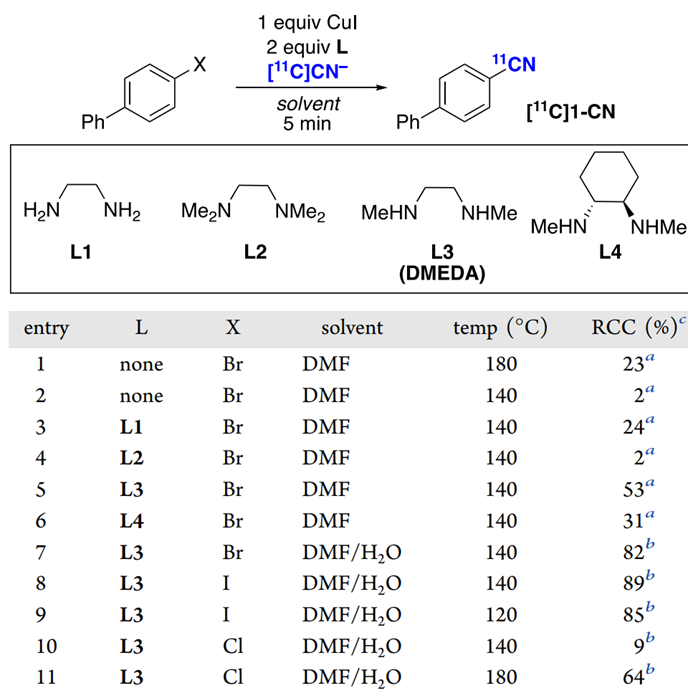 最新JACS:无保护氨基酸和多肽的铜介导放射氰化,图片,氨基酸,肿瘤,第2张