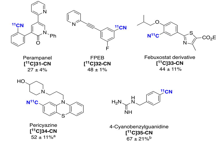 最新JACS:无保护氨基酸和多肽的铜介导放射氰化,图片,氨基酸,肿瘤,第4张