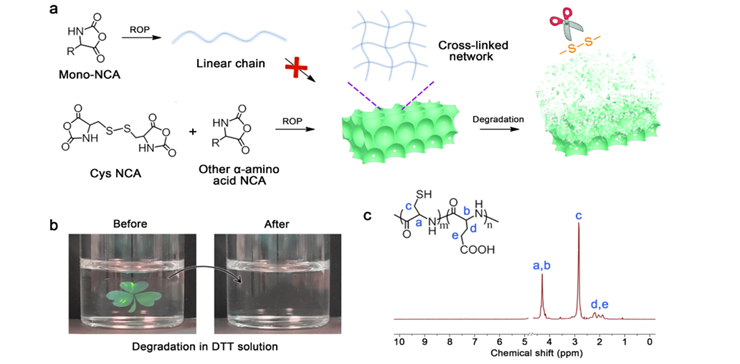 最新JACS: —具有可调结构颜色的仿生多肽光子薄膜,图片,生物医药,光子晶体结构,氨基酸,纳米,第6张