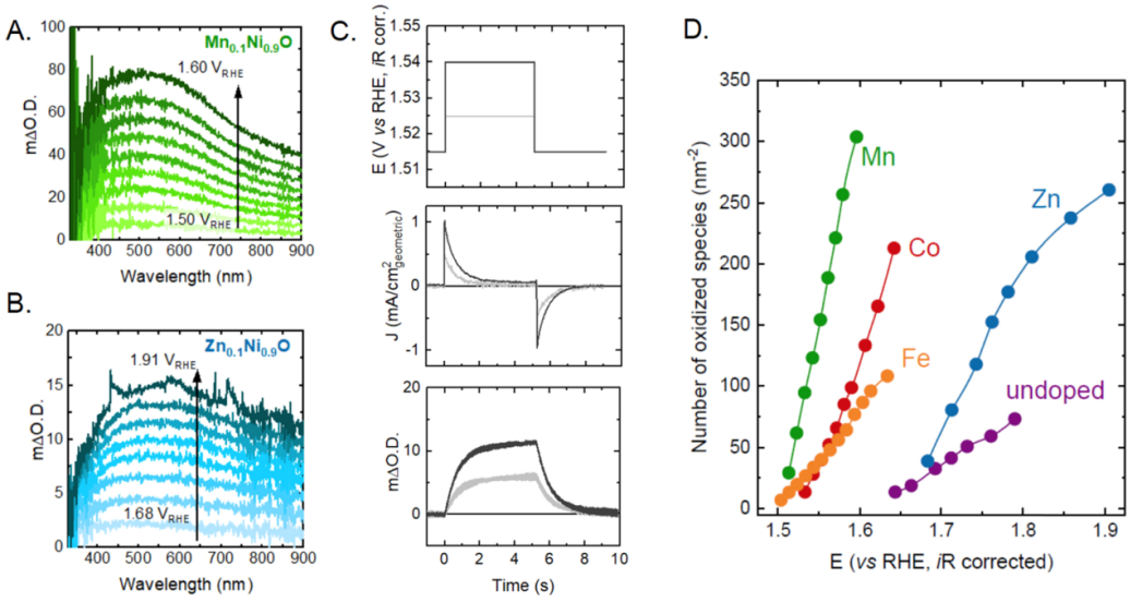 James R. Durrant最新JACS：掺杂NiO的OER光谱电化学分析！,图片,材料,析氢,氢能源,电解水,催化剂,第3张