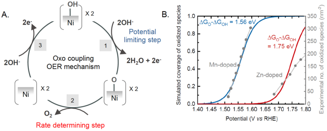 James R. Durrant最新JACS：掺杂NiO的OER光谱电化学分析！,图片,材料,析氢,氢能源,电解水,催化剂,第5张