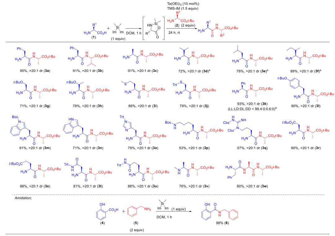 未探索的领域—硅环二肽的合成：二肽的 N 和 C 端的肽延伸,图片,新型肽键,氨基酸,材料,化学,生物,原子,制药,第4张