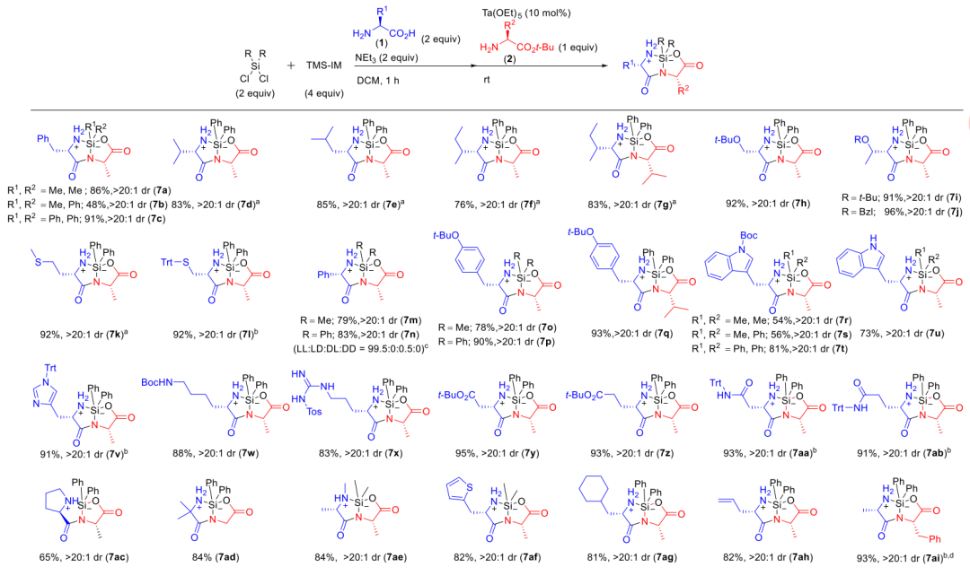 未探索的领域—硅环二肽的合成：二肽的 N 和 C 端的肽延伸,图片,新型肽键,氨基酸,材料,化学,生物,原子,制药,第5张