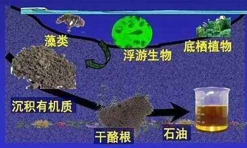 工业血液-石油的开采及加工,图片,能源,石油,农业,医药卫生,航空航天,原油,工业血液,第2张