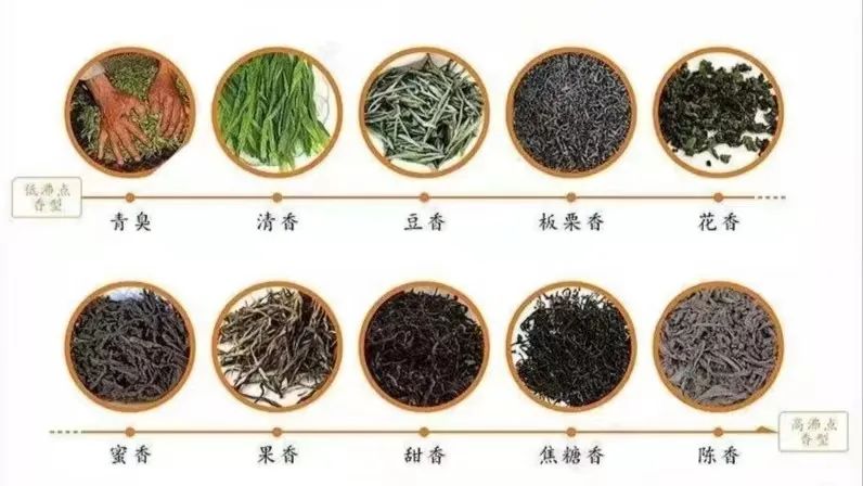 茶“化”会,图片,茶,绿茶,红茶,乌龙茶,芳香物质,青叶醇,香叶醇,橙花叔醇,发酵茶,第8张