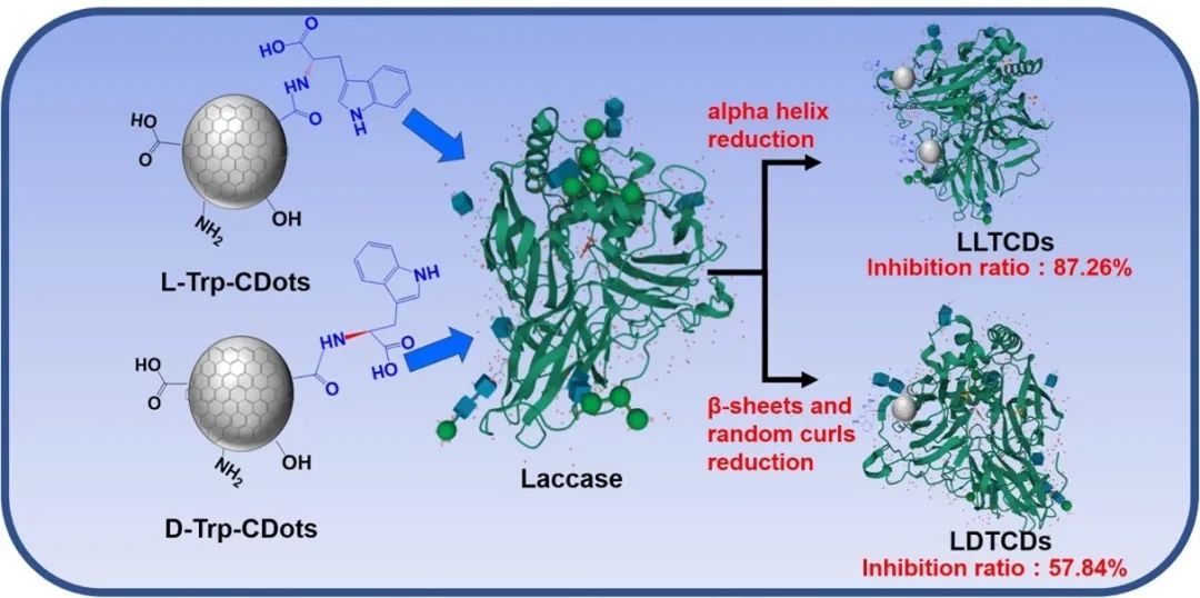 手性碳点选择性抑制漆酶的活性,图片,材料,手性,生物医药,纳米,石墨烯,碳纤维,催化剂,手性碳纳米结构,第7张