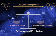 北大马丁Nat. Cat.：全暴露钯团簇实现有机载氢分子高效制氢