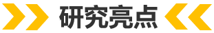 北大马丁Nat. Cat.：全暴露钯团簇实现有机载氢分子高效制氢,图片,催化剂,金属,材料,单原子催化剂,纳米,化学,原子,铁,安全,第4张