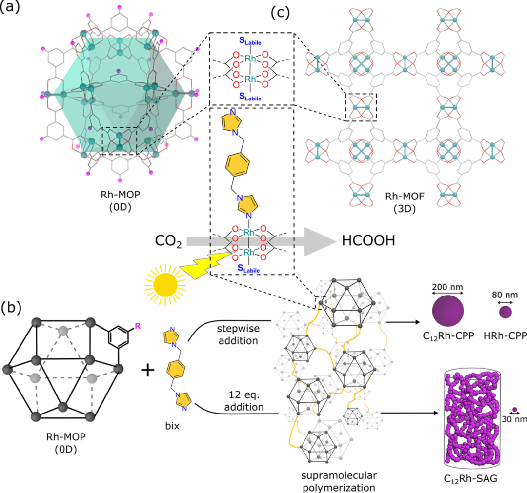 JACS: Rh-MOPs组装用于选择性CO2光还原,图片,材料,催化剂,金属有机多面体,第1张