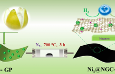 废弃生物质——柚子皮与Ni2+结合制备多功能材料设计的新思路