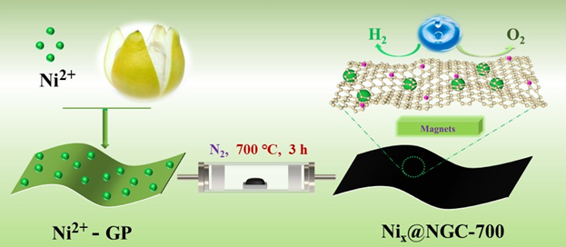 废弃生物质——柚子皮与Ni2+结合制备多功能材料设计的新思路,图片,材料,生物质,双碳,能源,纳米,催化剂,第1张