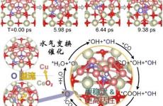 王阳刚团队在金属–载体界面相互作用动态模拟方面取得系列研究成果